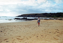 2000 - Australie 317(-)